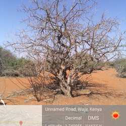 WhatsApp Image 2022-03-10 at 1.03.01 PM.jpeg