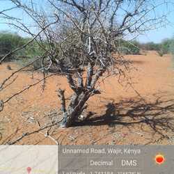 WhatsApp Image 2022-03-10 at 1.03.02 PM (1).jpeg