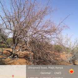 WhatsApp Image 2022-03-10 at 1.03.03 PM.jpeg