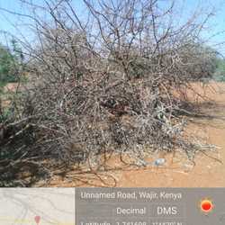 WhatsApp Image 2022-03-10 at 1.03.03 PM (1).jpeg