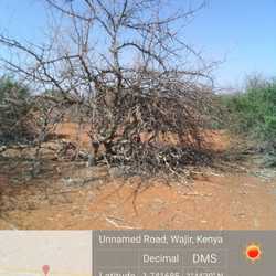 WhatsApp Image 2022-03-10 at 1.03.03 PM (2).jpeg