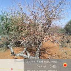 WhatsApp Image 2022-03-10 at 1.03.01 PM (1).jpeg