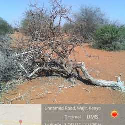 WhatsApp Image 2022-03-10 at 1.03.01 PM (2).jpeg