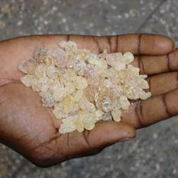 frankincense white.jpg