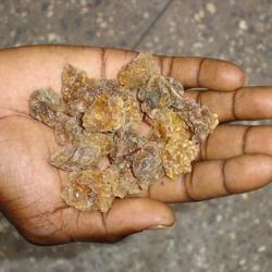 Myrrh KENYA.jpg
