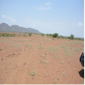 degraded_land.jpg degraded_land.jpg